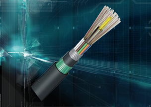 慈溪市三網(wǎng)通信設(shè)備廠 gyta6芯室外層絞光纜與燈具銷售動(dòng)態(tài)